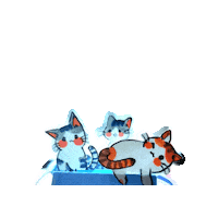 shaolijahan cats cute cat cute cats cat in box Sticker