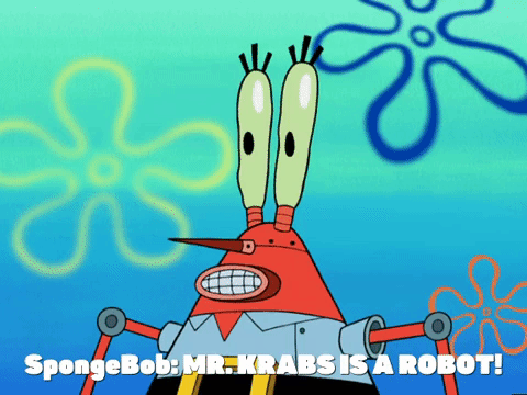 season 5 GIF by SpongeBob SquarePants