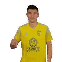 FCAstana football fca kazakhstan kz Sticker