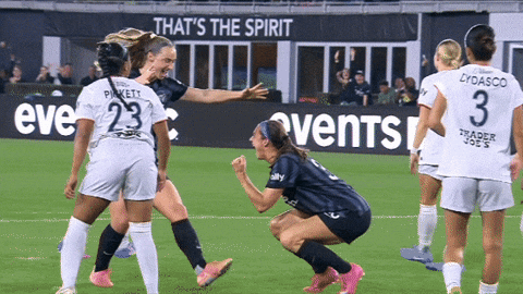 Washingtonspirit GIF by National Women's Soccer League