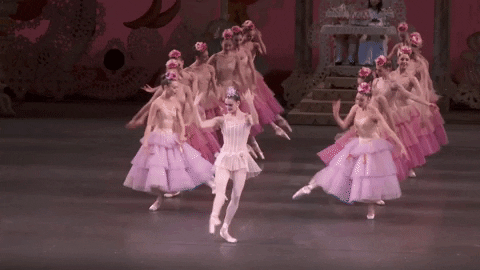 waltz of the flowers ballerina GIF by New York City Ballet