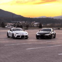 Mario Carter GIF by Phantom Alliance