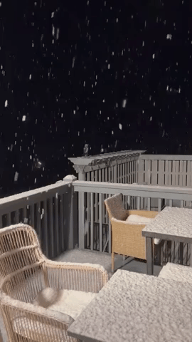 Snow and Sleet Make It a 'Damp Groundhog Day' in Virginia
