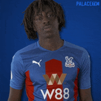 Premier League Wink GIF by CPFC