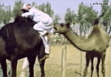 hump day GIF by FirstAndMonday