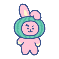 Watermelon Cooky Sticker by BT21