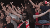 Fans Kvk GIF by KV Kortrijk