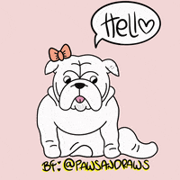 English Bulldog Dog GIF
