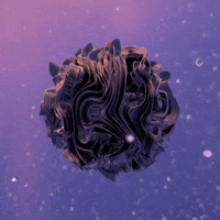 GIF by Shurly