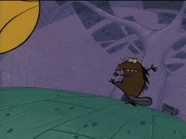 fail angry beavers GIF