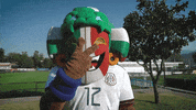 Liga Mx Football GIF by MiSelecciónMX