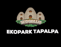 EKOPARKTAPALPA glamping tapalpa ekopark tapalpa teocallis GIF