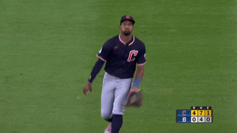 Sport Celebrate GIF by MLB
