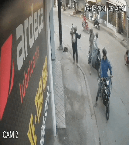 cuteanimalland giphyupload GIF