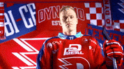 Michal GIF by HC Dynamo Pardubice