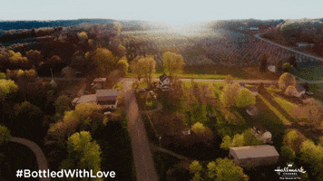 Bethany Joy Lenz Love GIF by Hallmark Channel