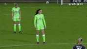 Lets Go Reaction GIF by VfL Wolfsburg