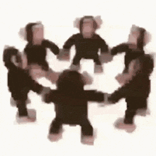Monkey Ape GIF