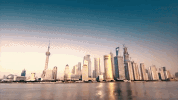 shang hai GIF
