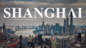 shang hai GIF