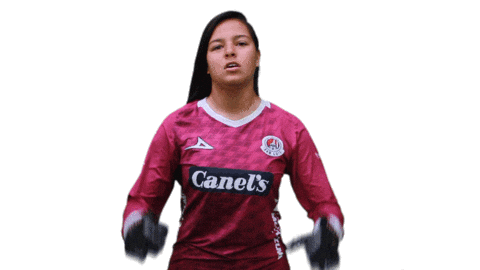 San Luis Soccer Sticker by Atlético de San Luis