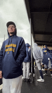 Midland GIF by BucknellBaseball
