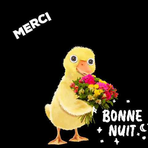 kikoo5fbb giphygifmaker giphyattribution merci GIF