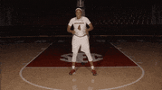 GIF by gamecocksonline