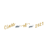 Congratulations Celebrate Sticker