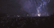 Princeton celebrate fireworks princeton princeton university GIF