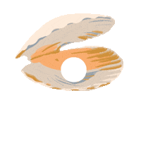 Concha Amor Proprio Sticker by DinamicART