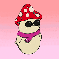 Happy Dance GIF by Sappy Seals Community