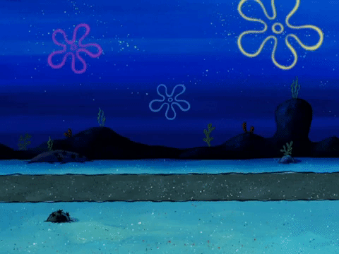 season 6 gullible pants GIF by SpongeBob SquarePants