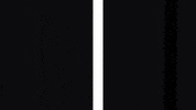 black and white loop GIF by A. L. Crego