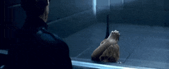 music video GIF by Rihanna
