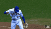 jeremy jeffress brewers GIF by MLB