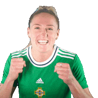 Celebrating Irish Football Sticker by Northern Ireland