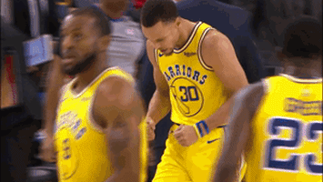 stephen curry expression GIF by NBA