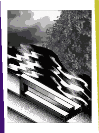 Skate Grinding Sticker