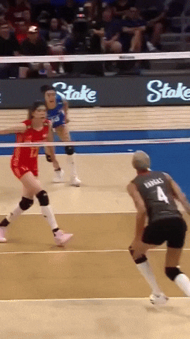Team Wow GIF by Volleyball World