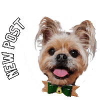 New Post Dog Sticker
