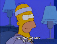 homer simpson dog GIF