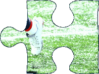 New England Patriots Sticker by Sunday Night Football