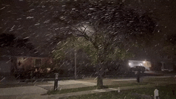 Ohio Wakes Up to Lake-Effect Snowfall