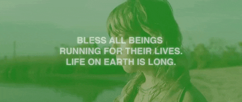 Life On Earth GIF by Hurray For The Riff Raff