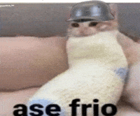 Cat Follow GIF