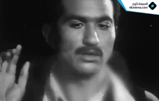 #cairo30 GIF by elCinema.com