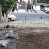 Bigg32 GIF