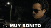 Comedy Central Bonito GIF by Porta Dos Fundos