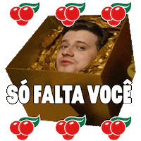 Natal Guarana Sticker by Guaraná Antarctica